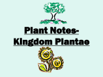 Plant Notes- Kingdom Plantae