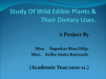 Study Of Wild Edible Plants & Their Dietary Uses.
