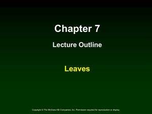 chapter_07_lecture
