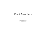 Plant Disorders - Mid