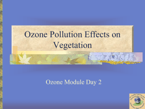 Ozone Pollution Module Lesson 2