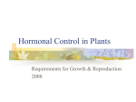 Hormonal Control in Plants