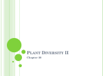 Plant Diversity II