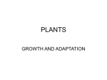 PLANTS