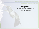Chapter 4 Photosynthesis
