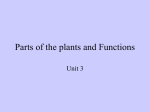 Parts of the plants and Functions