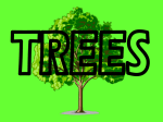 TREES