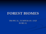 FOREST BIOMES