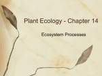 Plant Ecology