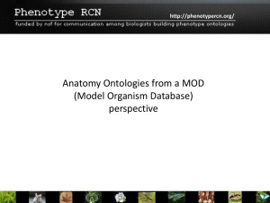 ppt - Phenotype RCN