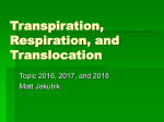 Transpiration, Respiration, and Translocation