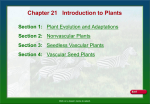 Introduction to Plants