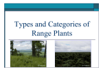 Range Plant Types and Categories