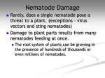 Nematodes