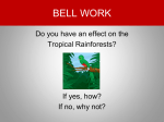 Where are the Tropical Rainforests