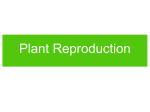 Plant Reproduction