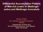 Differential Accumulation Pattern of Met-rich beta