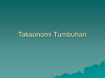 08.taksonomi tumbuhan-krt1