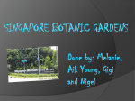 Singapore Botanic Gardens