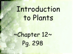 Introduction to Plants