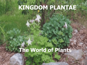 THREE WAYS TO CLASSIFY PLANTS