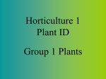 Horticulture 1 Plant ID