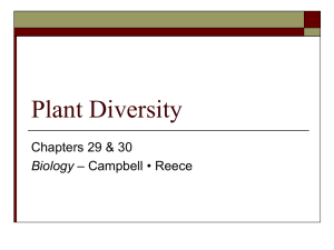 Plant Diversity