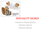 speciality and biomes 1213