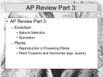 AP Review Part 3: