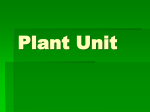 Plants - artzak.com
