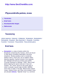 Physcomitrella patens Taxonomy