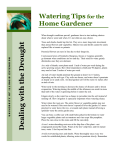 Watering Tips Home Gardener for the
