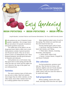 Easy Gardening • - IRISH POTATOES