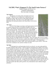 Fall 2002: What’s Happened To The Small Grains Pastures? Extension Agronomists