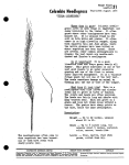 Columbia Needlegrass Leaflet J I