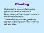 Cloning and Gene Therapy