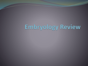 Embryology Review (from Ida) - U