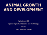 animal growth and development