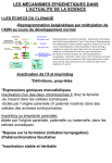 Diapositive 1 - univ