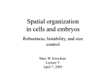Lecture V. Spatial organization in cells and embryos