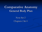 Comparative Anatomy Fall 2006