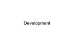 Development - MSU Denver