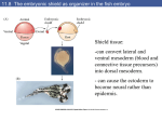 Developmental Biology 8/e - Florida International University