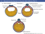 Developmental Biology 8/e - Florida International University