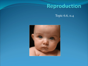 Reproduction notes