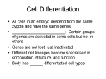 Cell Differentiation