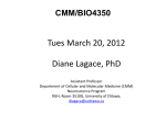 CMM/BIO4350