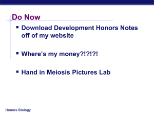 Honors Biology Differentiation