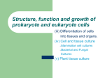 Structure, function and growth of prokaryote and eukaryote cells