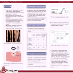 PowerPoint 프레젠테이션